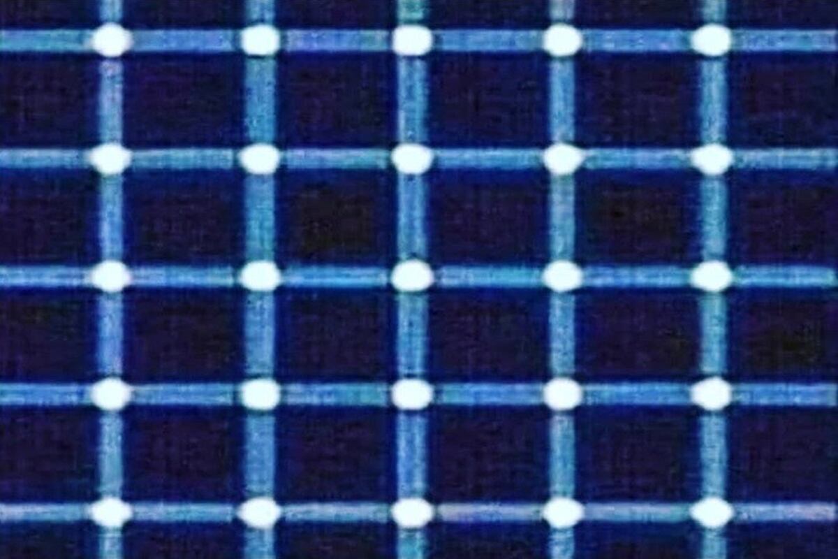 ILUSIÓN ÓPTICA | ¿Puedes encontrar el punto negro? Solo las personas con un coeficiente intelectual muy alto podrían superar este desafío. | jagranjosh