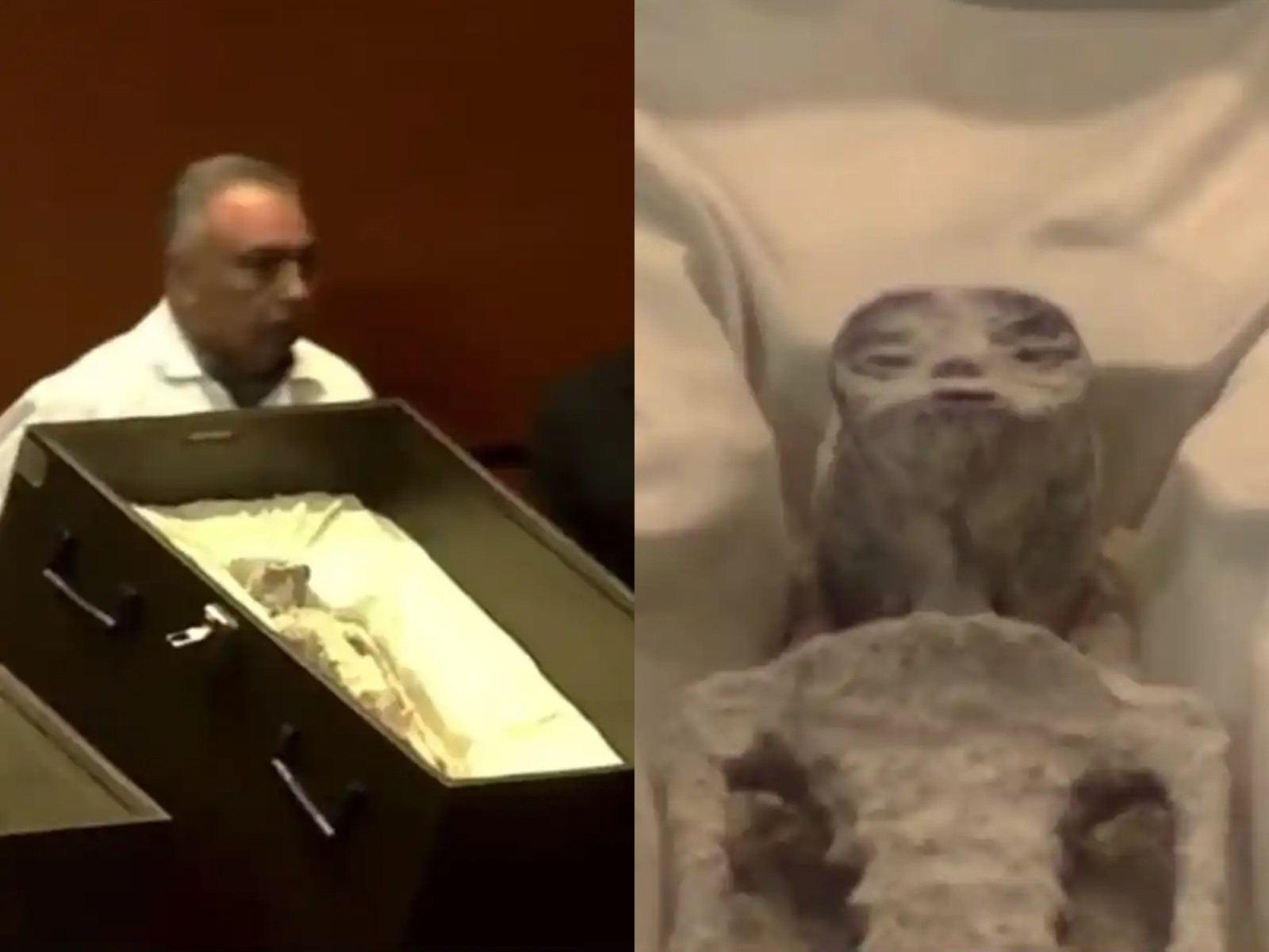 Los cadáveres extraterrestres no humanos hallados en Perú y expuestos en México. (Foto: Twitter @UHN_Plus)