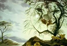 Test visual: descubre qué dice la gente sobre ti, según qué eliges en la gráfica