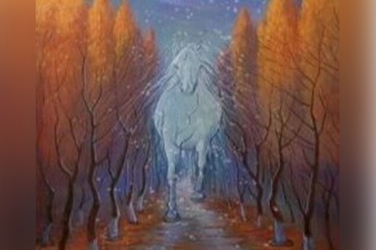 TEST DE PERSONALIDAD | Realiza este test de personalidad basado en una ilusión óptica y descubre los secretos más profundos de tu ser, revelando si peleas batallas internas o te falta control. | Tiktok/@evianlee