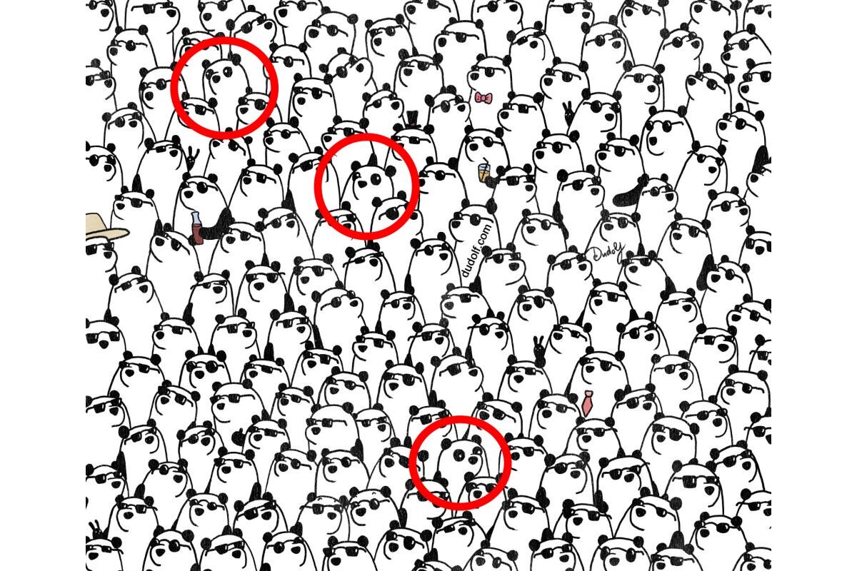 SOLUCIÓN DEL DESAFÍO VISUAL | Se dice que tienes un alto coeficiente intelectual si puedes resolver esta ilusión óptica en 30 segundos. | Gergely Dudás