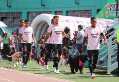 ¡Gran campaña! Perritos en adopción fueron la cábala para la victoria de Sport Boys ante César Vallejo