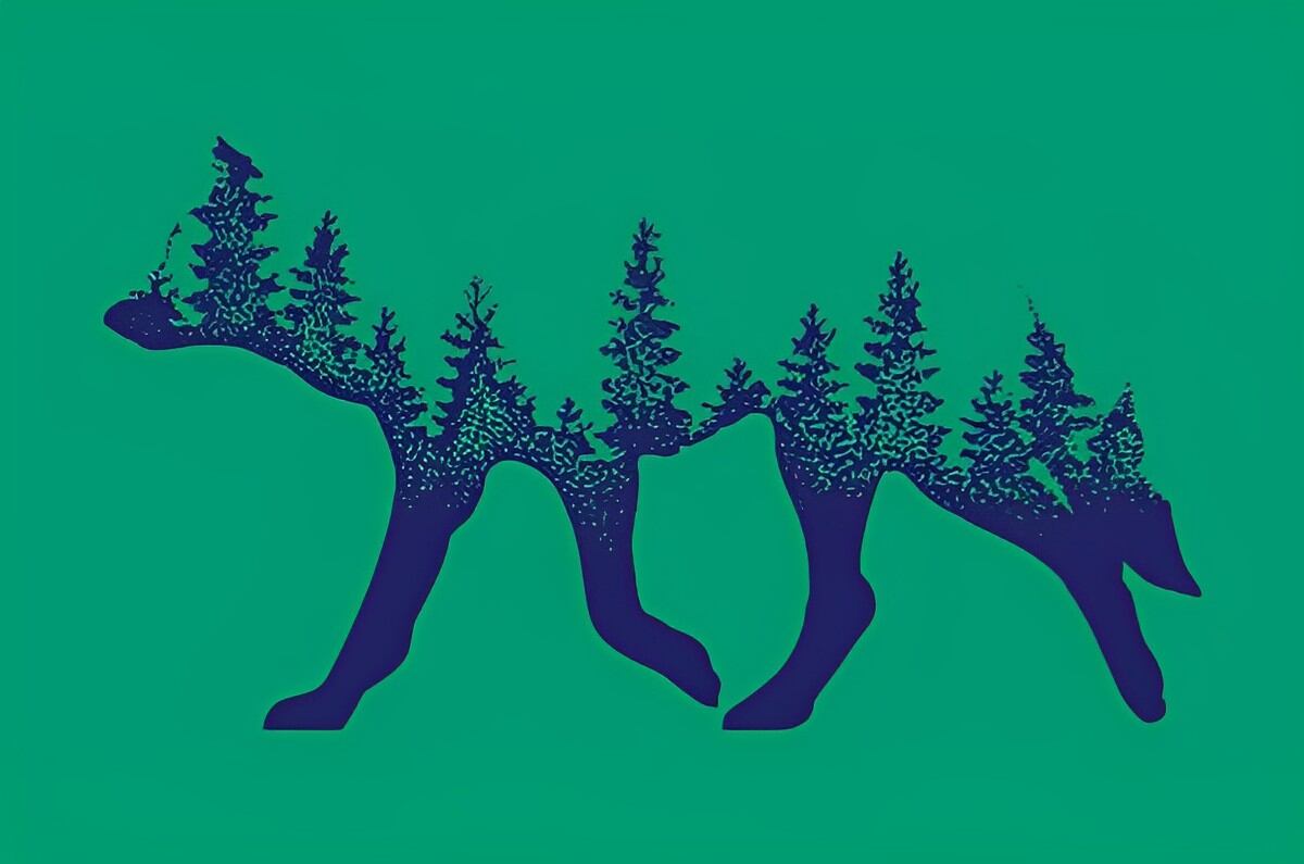 Descubre qué te hace único en este test visual según veas un zorro o unos pinos (Foto: GenialGuru).