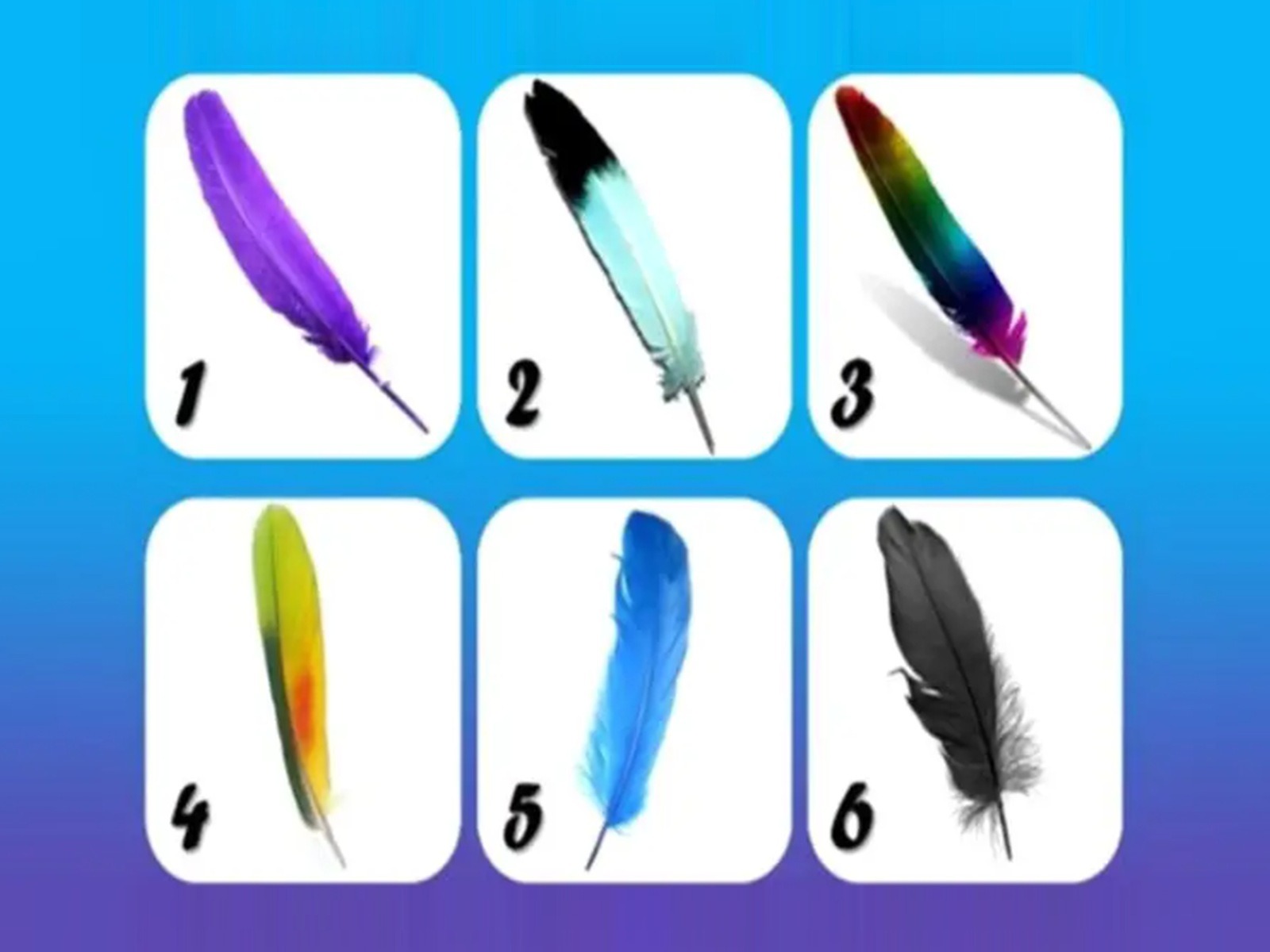 TEST VISUAL | En esta imagen se puede apreciar muchas plumas. ¿Cuál es tu favorita? (Foto: namastest.net)