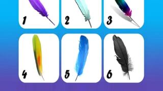 Tu pluma favorita te permitirá recibir información sobre ti