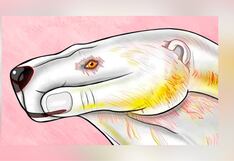 Descubre cuál es tu temor más grande aquí, según lo primero que viste en la imagen