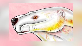 Descubre cuál es tu temor más grande aquí, según lo primero que viste en la imagen