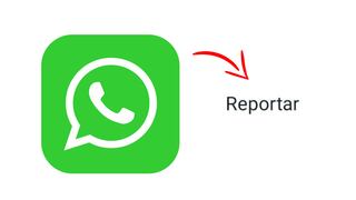 La guía para reportar los estados de tus contactos en WhatsApp 
