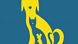 Descubre qué naturaleza tienes según veas a un perro, un gato o un ratón primero