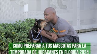 Protege a tus mascotas en Florida durante la temporada de huracanes 2024: consejos clave para su seguridad