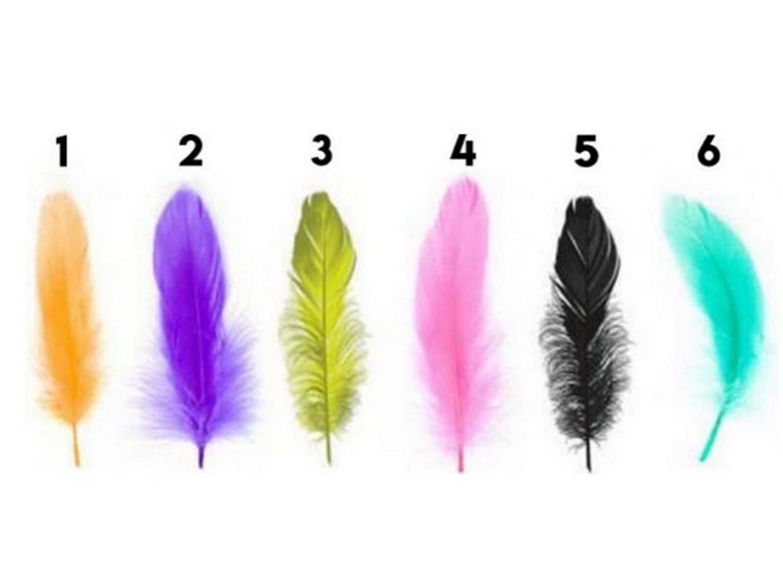 Este test visual te invita a observar una imagen con diferentes plumas y elegir la que más te guste.