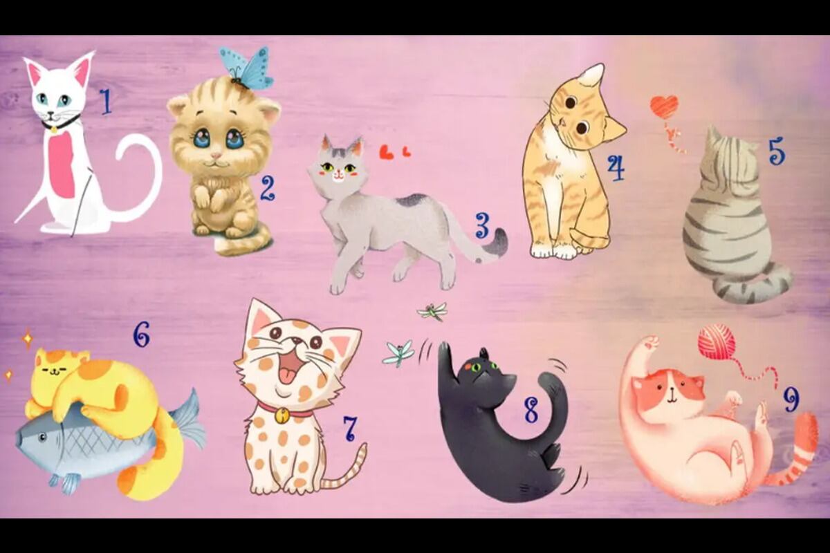 TEST VISUAL | En esta imagen se puede apreciar a nueve gatos completamente diferentes. (Foto: namastest.net)