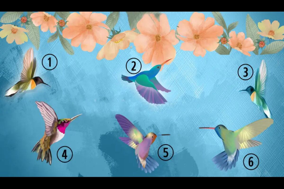 TEST VISUAL | En esta imagen se aprecian varios colibríes. Todos son diferentes. (Foto: namastest.net)