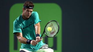 Del Potro venció a Haase en su debut en el Masters 1000 de Miami