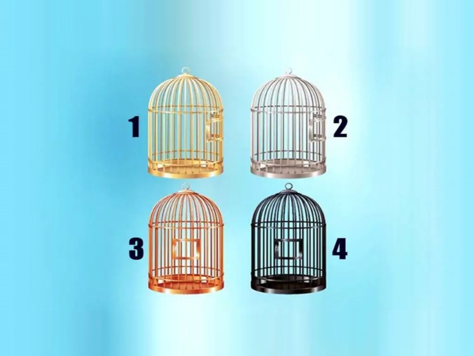 TEST VISUAL | Esta imagen te muestra cuatro jaulas distintas. Debes escoger una. (Foto: namastest.net)