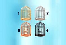 Saldrá a la luz quién eres en realidad cuando elijas una jaula