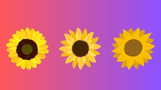 Elige uno de los girasoles para descubrir cuál es el gran propósito de tu vida