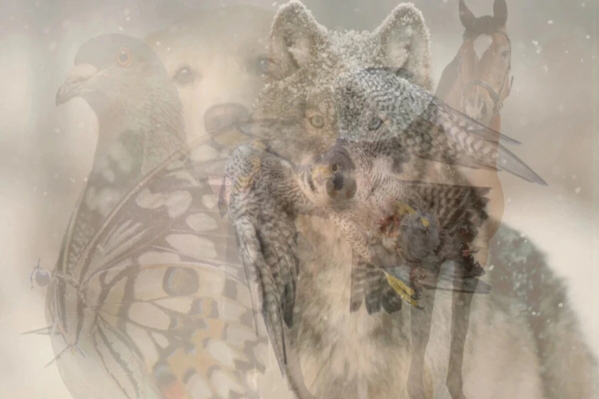 TEST DE PERSONALIDAD | Participa en este intrigante test de personalidad y descubre qué animal revela tu verdadera esencia según el primero que percibas en esta ilusión óptica. | THE US SUN