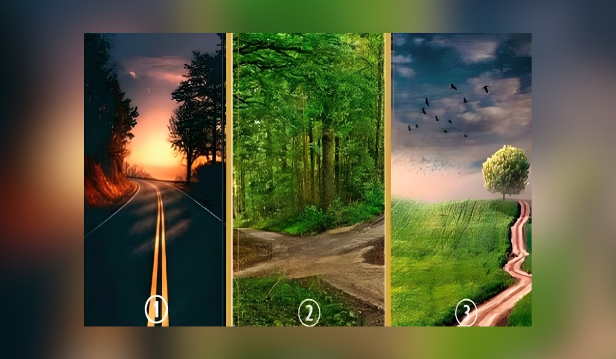 Test visual: descubre si cumplirás tus sueños con solo elegir uno de los caminos en la imagen (Foto: GenialGuru).