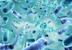 Cuáles son los beneficios de los postbióticos, el secreto de la longevidad