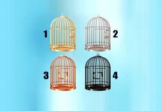 Debes escoger una jaula de la imagen para que conozcas qué tipo de persona eres