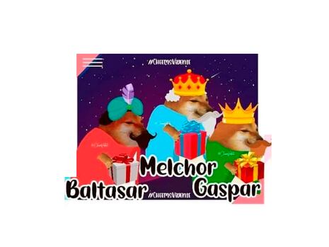 Aquí los mejores memes de WhatsApp de Cheems por el Día de Reyes 2024