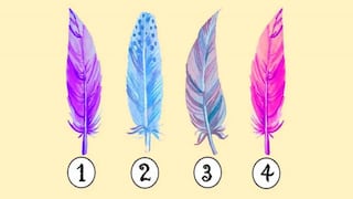 Si quieres conocer todo sobre tu forma de ser, elige una pluma