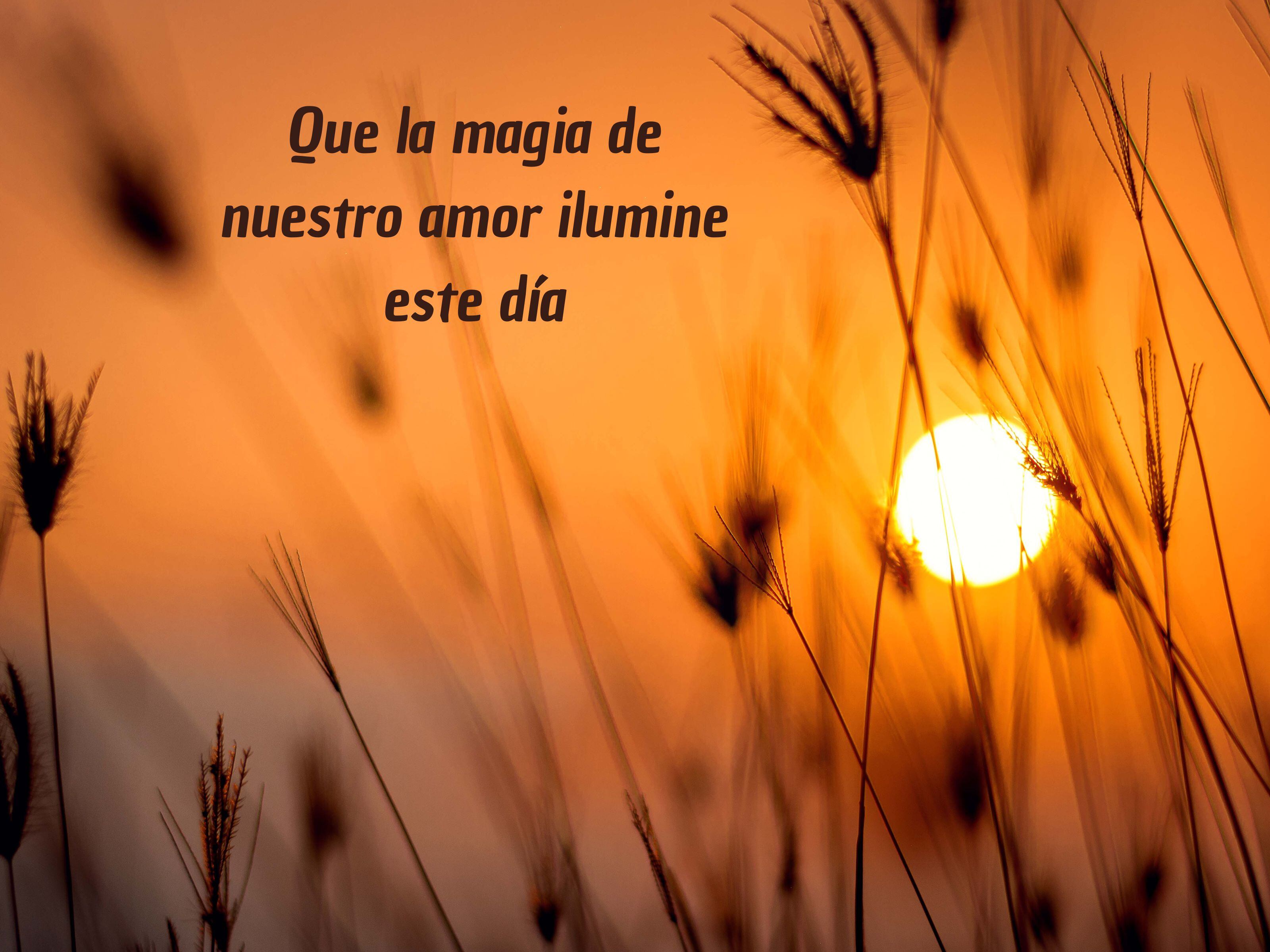 Una frase que puedes enviar a la persona amada en San Valentín. (Foto: Composición: Darwis Alwan / Pexels)