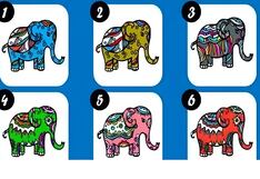 Descubre tu mayor objetivo en esta vida, según qué elefante elijas primero