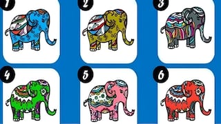 Descubre tu mayor objetivo en esta vida, según qué elefante elijas primero