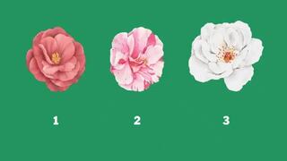 Elige una flor y descubre lo que la gente teme decirte