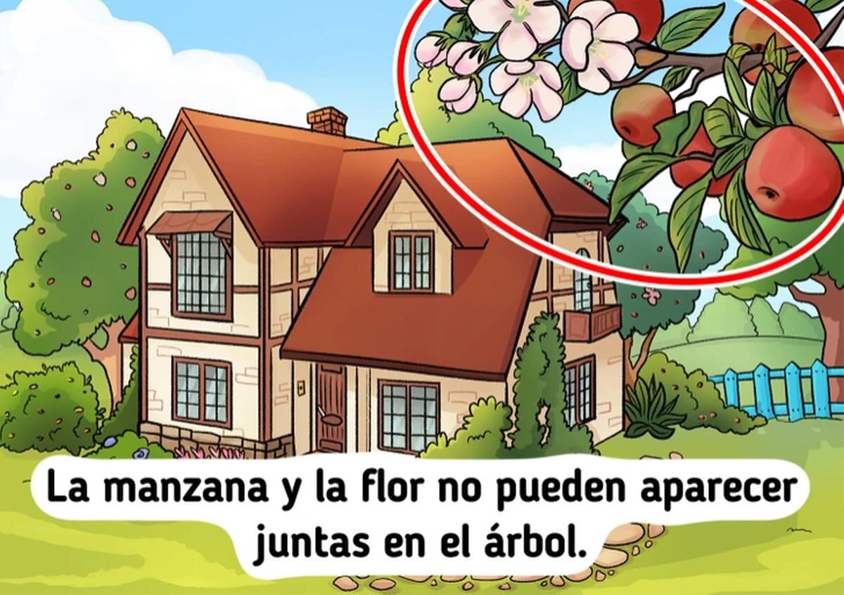 RETO VIRAL | En esta imagen se indica qué es lo que no está bien en la imagen. (Foto: genial.guru)