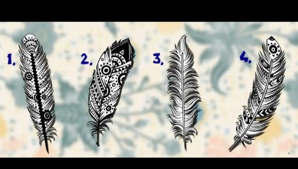 TEST VISUAL | En esta imagen hay varias plumas. Todas son diferentes. Escoge una. (Foto: namastes.net)
