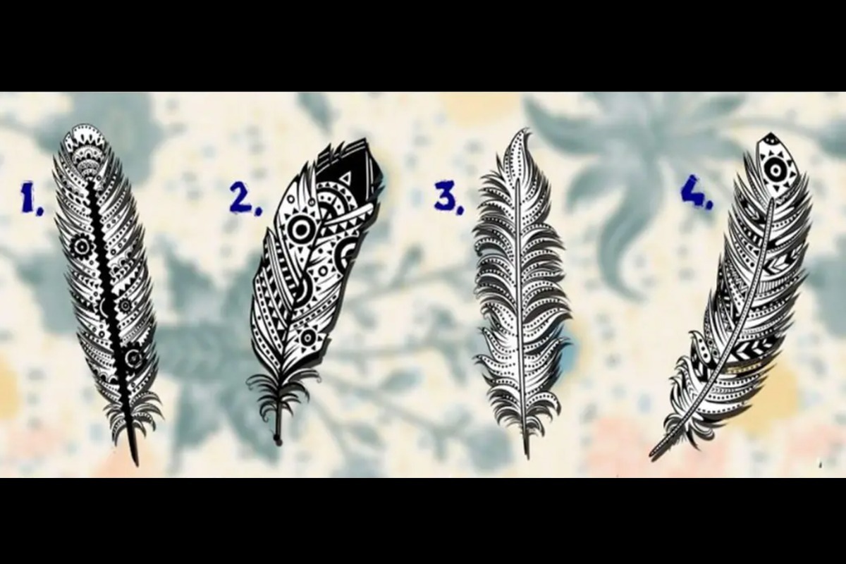 TEST VISUAL | En esta imagen hay varias plumas. Todas son diferentes. Escoge una. (Foto: namastes.net)