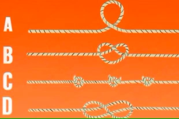 La cuerda que te parezca la más larga revelará tus miedos internos más profundos. (Foto: Genial.Guru)