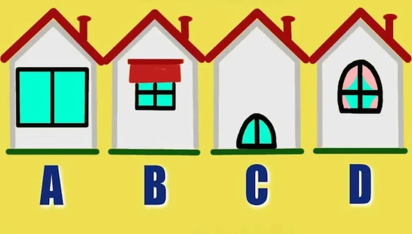 TEST VISUAL | En esta imagen puedes apreciar muchas casas. ¿Cuál es tu favorita? (Foto: namastest.net)