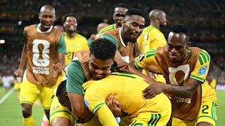 Sudáfrica vs. Corea del Sur (1-0): video y resumen del único gol