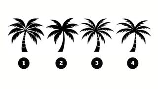 Elige una de las palmeras para saber qué rasgo negativo domina tu vida