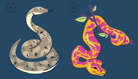 Elige una serpiente y descubre qué si eres cizañero. (Foto: TiempoX)