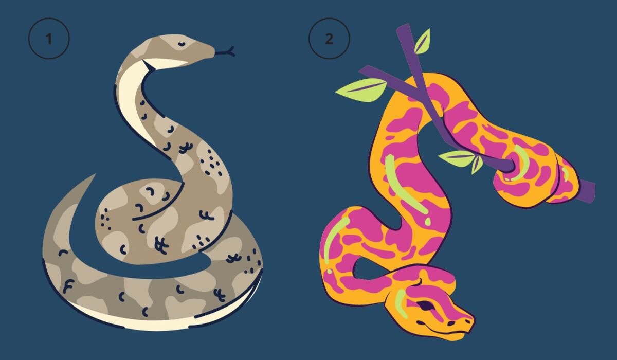 Elige una serpiente y descubre qué si eres cizañero. (Foto: TiempoX)