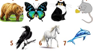 ¿Qué animal te gustaría ser? Descubre aspectos ocultos de tu identidad