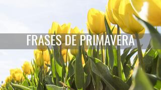 40 frases de primavera cortas y bonitas para la llegada de la estación este 19 de marzo