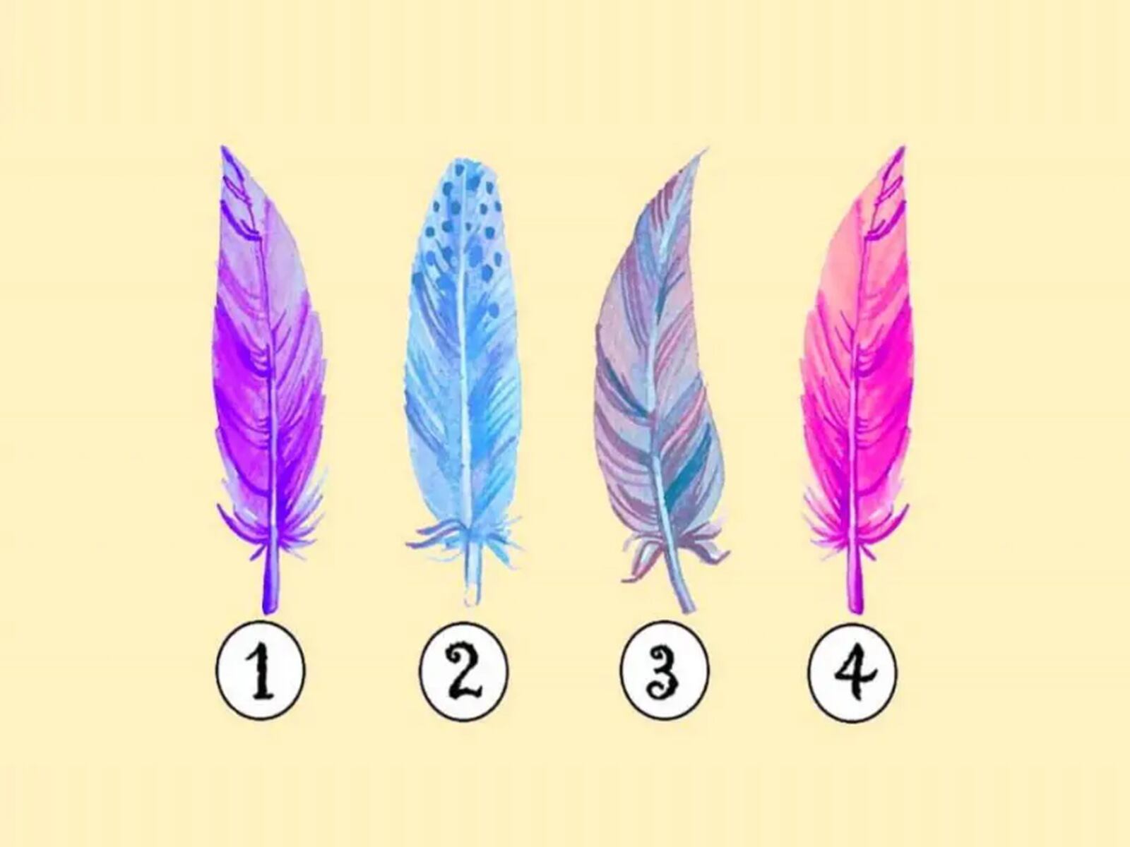 TEST VISUAL | En esta imagen hay cuatro plumas distintas. Tienes que escoger una. (Foto: namastest.net)