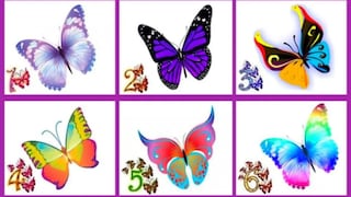 Información acerca de tu personalidad es lo que recibirás al elegir una mariposa