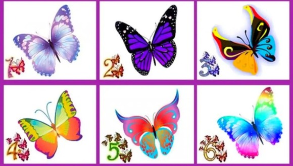 TEST VISUAL | En esta imagen se pueden apreciar varias mariposas. Tienes que elegir una. (Foto: namastest.net)