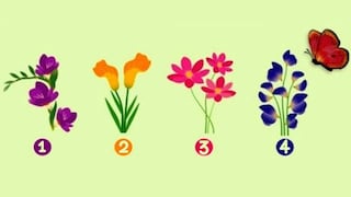 Elige una flor para descubrir qué revela sobre tu enfoque en las relaciones amorosas