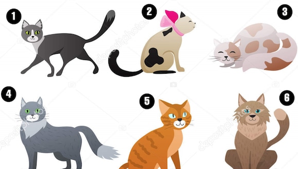 Test Visual: Descubre que tipo de persona eres según el gato que elijas (Foto: depositphotos)