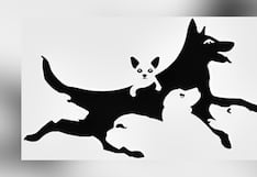 Test visual: conoce cuál es tu edad mental según el número de perros que cuentes