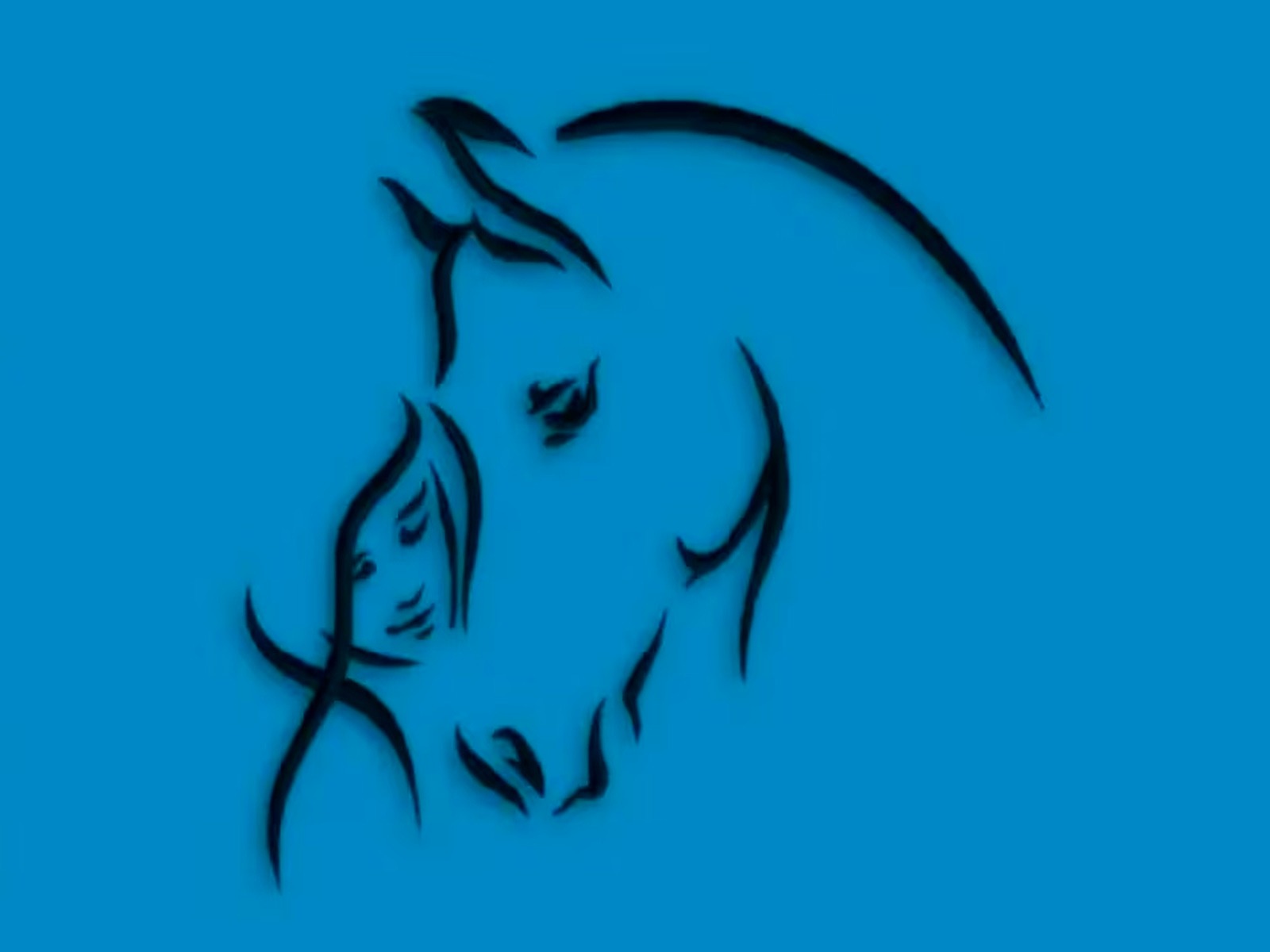 TEST VISUAL | Tan solo indica cuál es el elemento que se apoderó de tu atención y lograrás conocer los resultados. | Foto: namastest