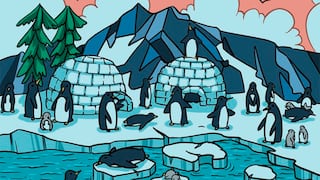 Una foca se oculta entre los pingüinos y tienes que encontrarla para resolver el reto viral